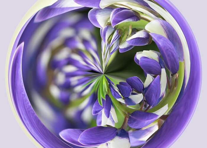 Orb Greeting Card featuring the photograph Purple flower orb by Phillip Rubino