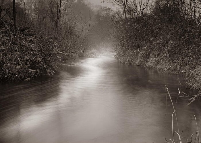 Putah Creek Greeting Card featuring the photograph Putah Creek on a foggy day by Alessandra RC