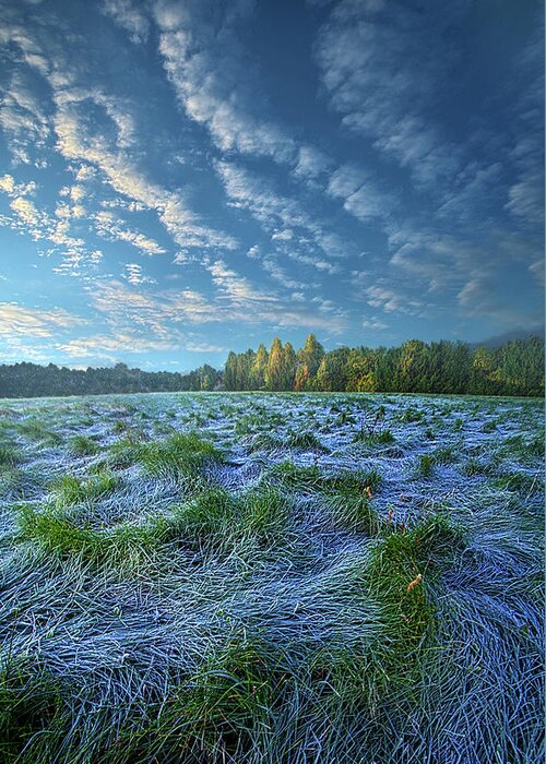 Beautiful Greeting Card featuring the photograph Quiet Grace by Phil Koch