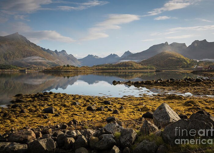 Morning Greeting Card featuring the photograph Quiet Morning on the Lofoten by Eva Lechner