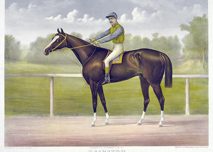 1891 Greeting Card featuring the drawing Race Horse, C1891 by Granger
