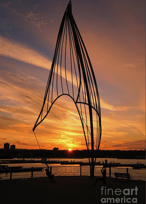 Rafaga Unleashed Sunset Greeting Card featuring the photograph Rafaga Unleashed Sunset 2 by Rachel Cohen