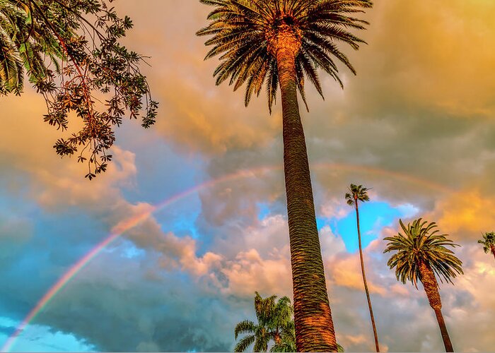 Rainbow Greeting Card featuring the photograph Rainbow Over The Palms by Gene Parks