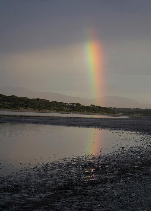 Africa Greeting Card featuring the photograph Rainbow by Patrick Nowotny