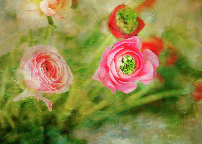 California Greeting Card featuring the digital art Ranunculus Floral Painterly by Susangaryphotography
