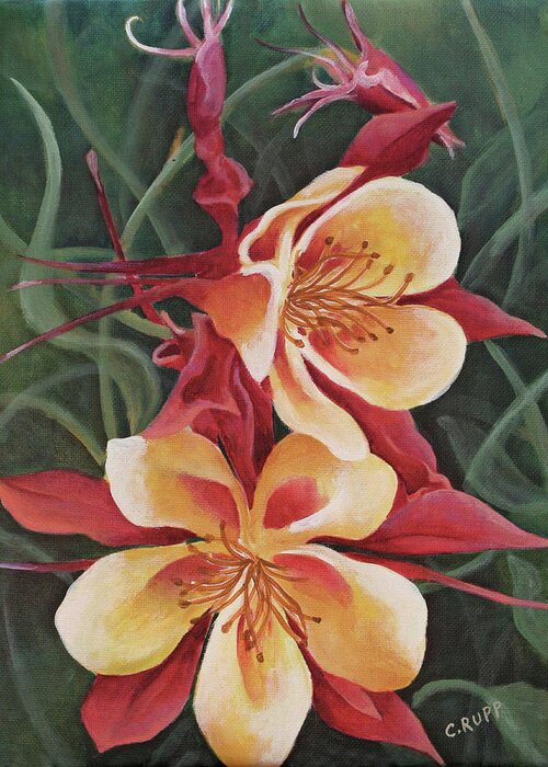 Red And Yellow Columbine Greeting Card featuring the painting Red And Yellow Columbine by Carol J Rupp