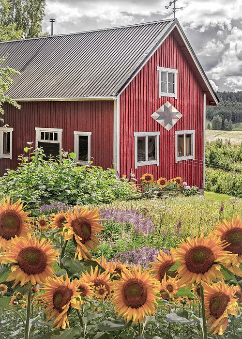 Barn Greeting Card featuring the photograph Red Barn in Summer Country Sunflowers by Debra and Dave Vanderlaan