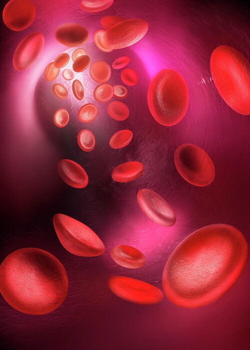Microscope Greeting Card featuring the photograph Red Blood Cells Passing Through Blood by Gandee Vasan