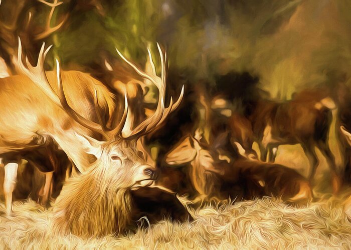 Color Greeting Card featuring the digital art Red Deer Stag Painting by Rick Deacon