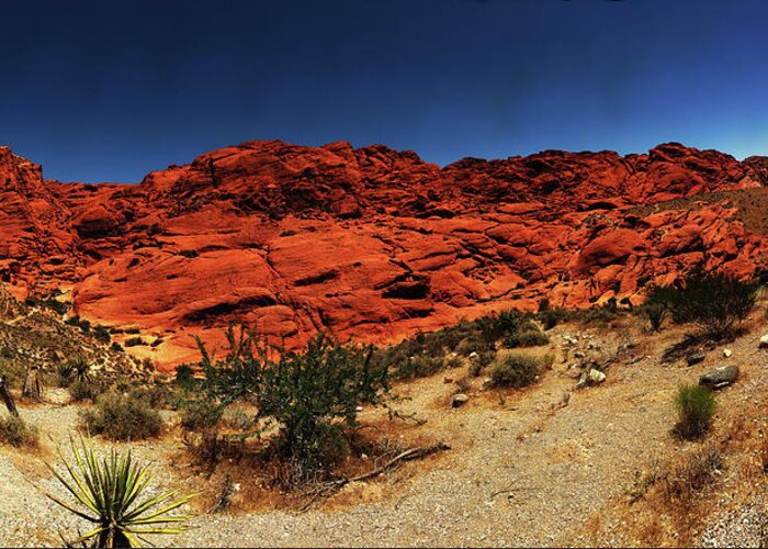 Tranquility Greeting Card featuring the photograph Red Rock Canyon, Nv by Wirehead Arts