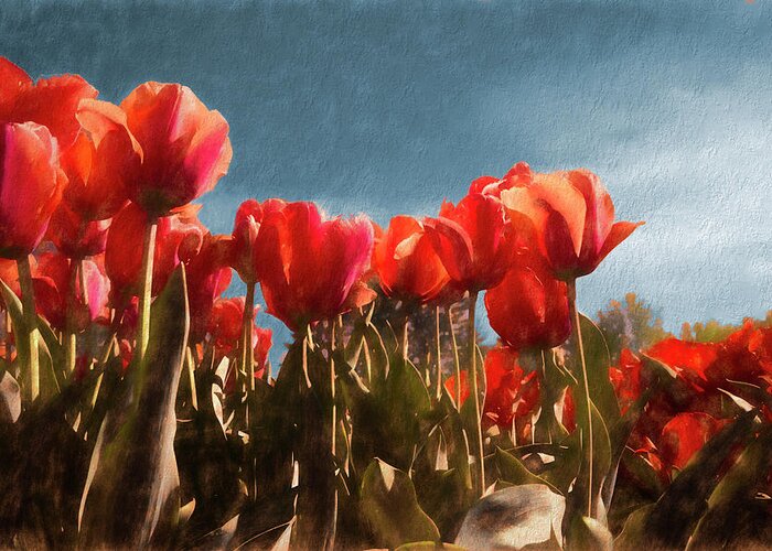 Red Tulips Greeting Card featuring the photograph Red Tulips by Steve Ladner