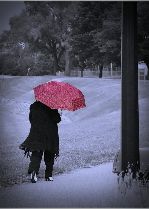  Greeting Card featuring the photograph Red Umbrella by Jack Wilson