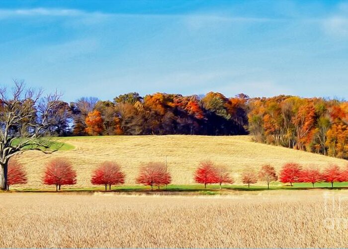 Fall Greeting Card featuring the photograph RedBud Road by Phil Cappiali Jr