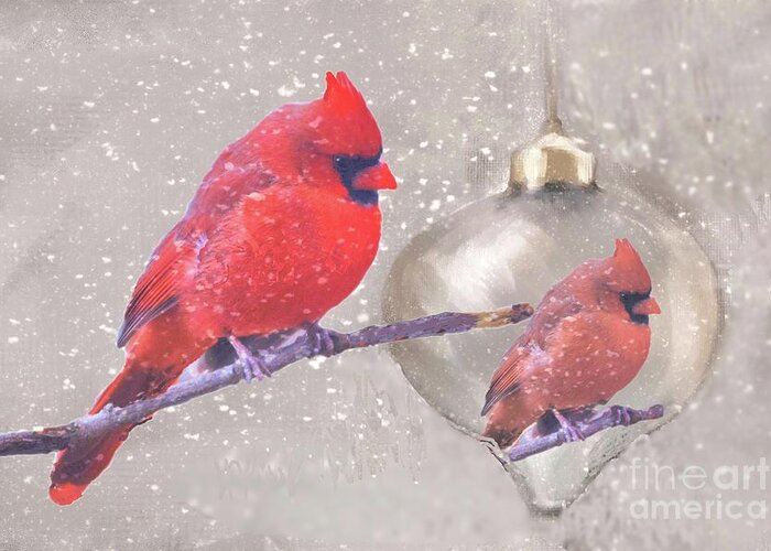 Cardinal Bird Male Avian Beak Feathers Red Christmas Ornament Snow Christmas Nature Reflection Red Silver Greeting Card featuring the digital art Reflection of a Cardinal by Janette Boyd
