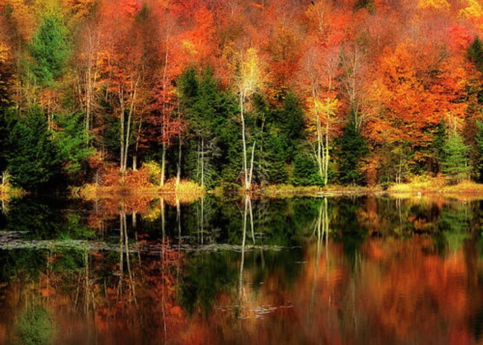 Tranquility Greeting Card featuring the photograph Reflection Of Fall Foliage by Shobeir Ansari