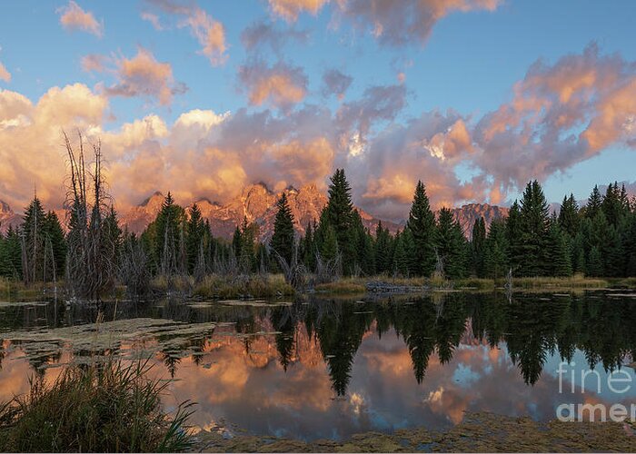 Schwabacher's Landing Greeting Card featuring the photograph Reflections From Schwabachers Landing by Doug Sturgess