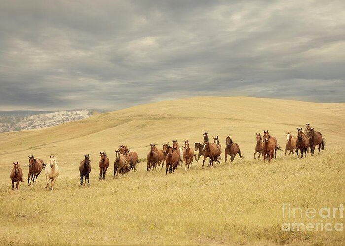 Horse Herd Greeting Card featuring the photograph Remuda Roundup by Terri Cage