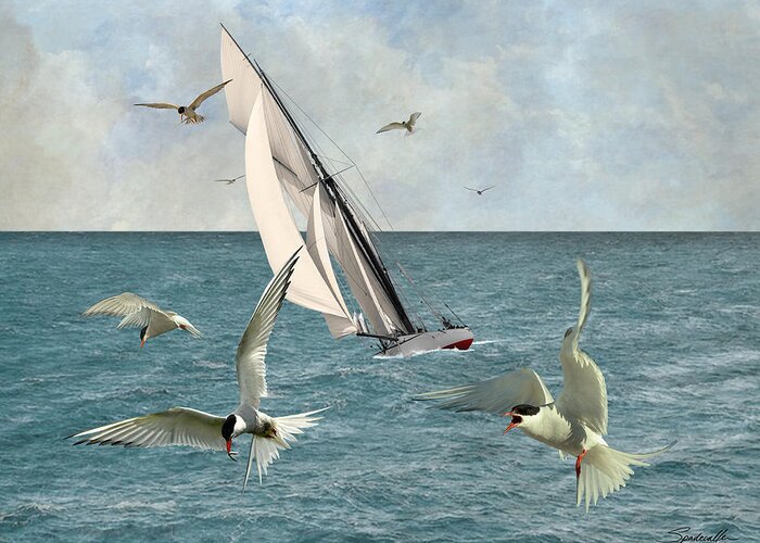 Seabirds Greeting Card featuring the digital art Rendezvous at Sea by M Spadecaller