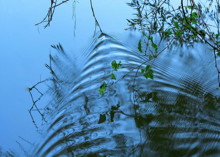 Ripples Greeting Card featuring the photograph Ripples by Anthony Paladino