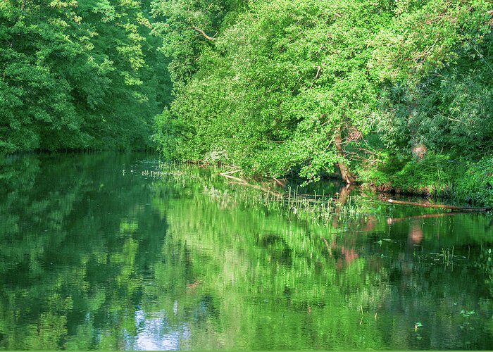Spreewald Greeting Card featuring the photograph River bend in the Spreewald by Sun Travels