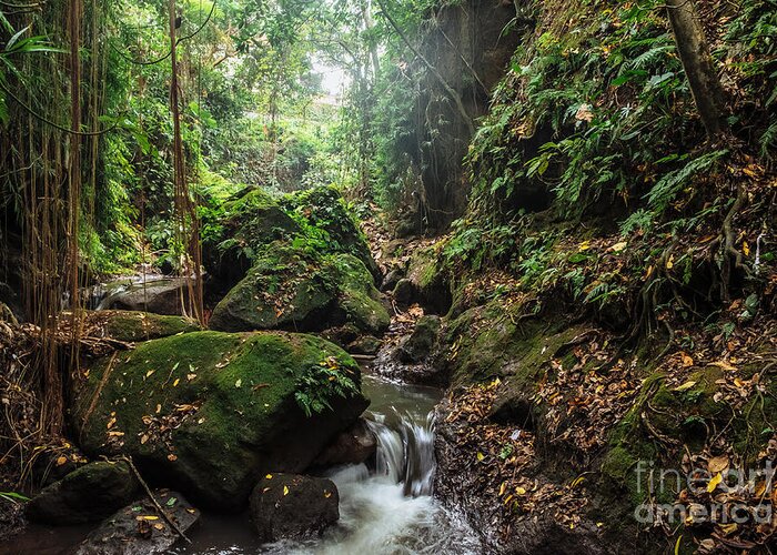 Nature Bali Greeting Card featuring the photograph River In Stones Of Tropical Jungle by Dmitry Polonskiy