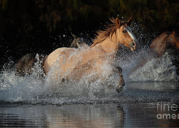 Horse Greeting Card featuring the photograph River Run by Shannon Hastings