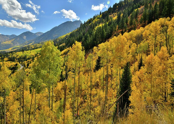 Colorado Greeting Card featuring the photograph Roadside Fall Colors while Ascending to McClure Pass by Ray Mathis