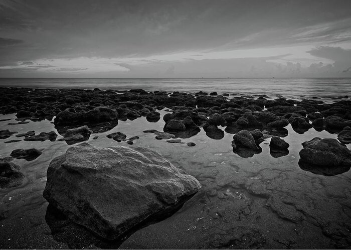 Coral Cove Greeting Card featuring the photograph Rocky Shore by Steve DaPonte