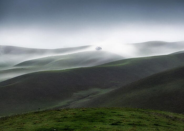 Hills Greeting Card featuring the photograph Rolling Hills And Fog by Aidong Ning