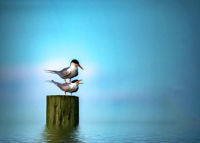 Terns Greeting Card featuring the photograph Romance On The High Seas by Cathy Kovarik