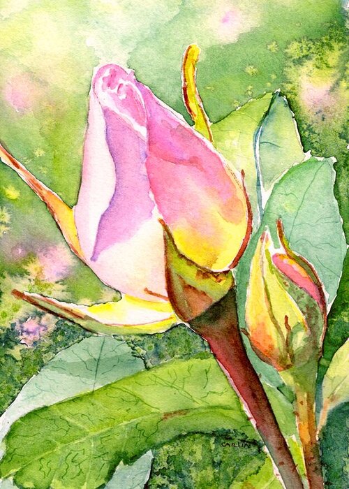 Pink Rose Buds Greeting Card featuring the painting Rose Buds in the Garden by Carlin Blahnik CarlinArtWatercolor