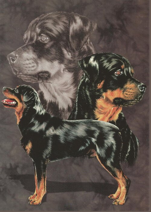 Working Group Greeting Card featuring the drawing Rottweiler Alteration by Barbara Keith