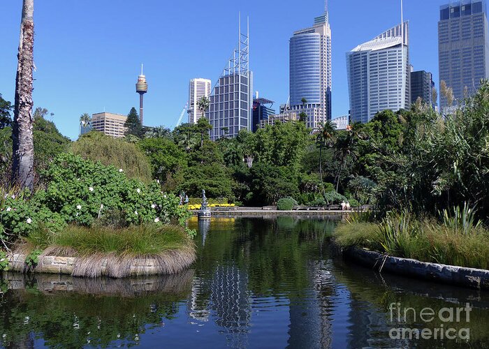 Royal Botanical Garden Greeting Card featuring the photograph Royal Botanical Garden - Sydney by Phil Banks