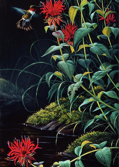 Hummingbird Feeding On Flowers Greeting Card featuring the painting Ruby Throated Hummingbird by Wilhelm Goebel