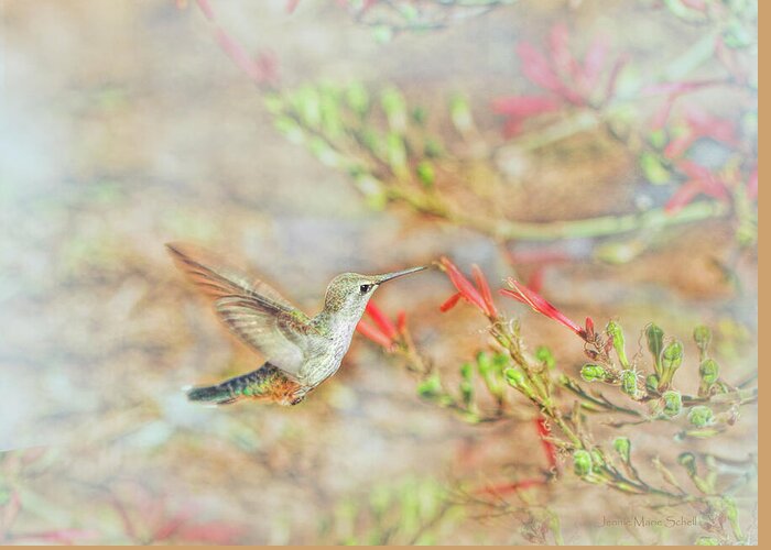 Hummingbird Greeting Card featuring the photograph Rufous Hummingbird in the Arizona Garden by Jennie Marie Schell