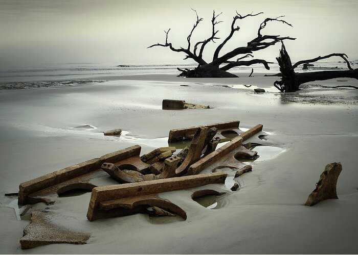 Driftwood Beach Greeting Card featuring the photograph Ruins on Driftwood Beach by James Covello