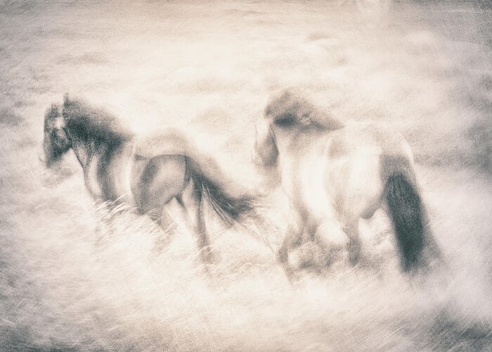 Horses Greeting Card featuring the photograph Running Free by Gustav Davidsson