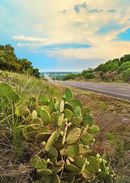 Scenics Greeting Card featuring the photograph Rural Texas Highway, Prickly Pear by Dszc
