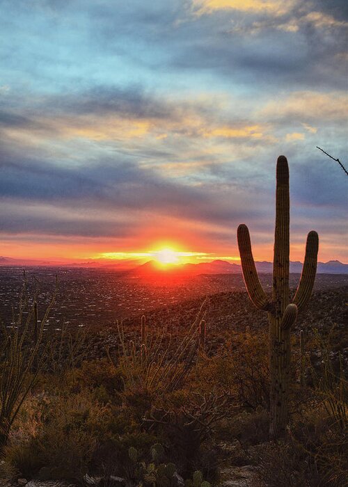 Tucson Greeting Card featuring the photograph Saguaro Cactus and Tucson at Sunset by Chance Kafka