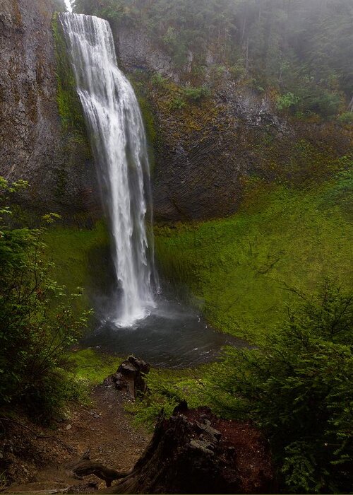 Waterfall Greeting Card featuring the photograph Salt Creek Falls by Todd Kreuter