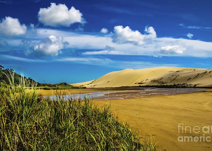 90 Mile Beach Greeting Card featuring the photograph 90 Miles Beach, New Zealand by Lyl Dil Creations