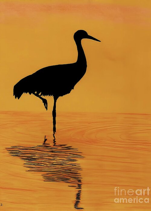 Bird Greeting Card featuring the drawing Sandhill - Crane - Sunset by D Hackett