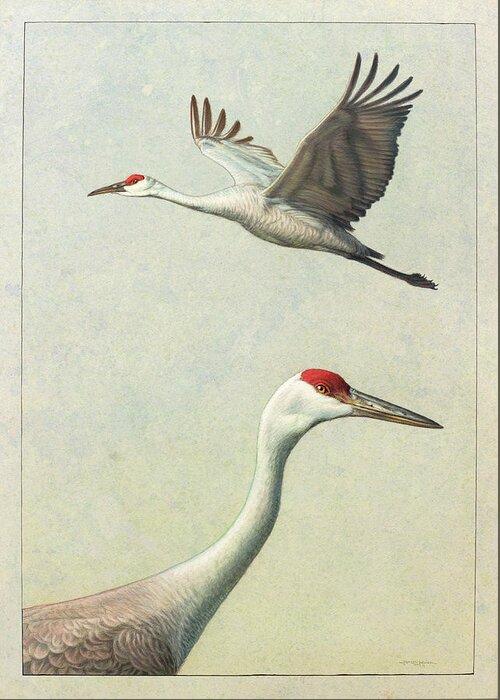 Crane Greeting Card featuring the painting Sandhill Cranes by James W Johnson