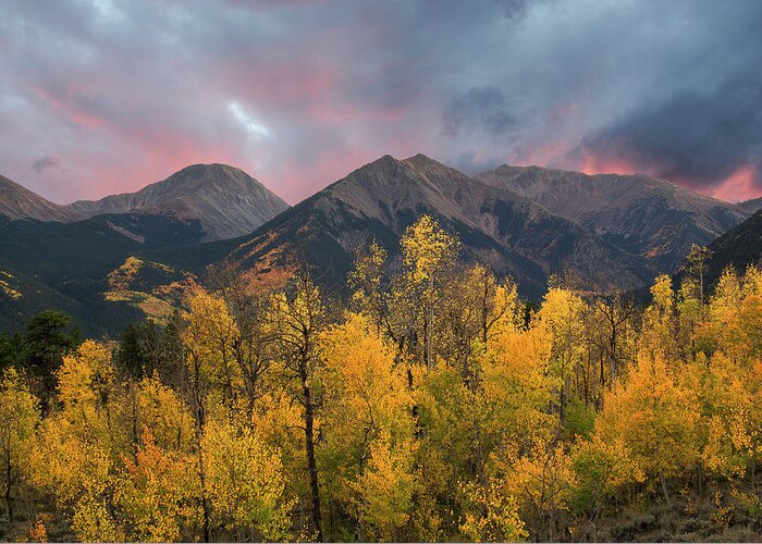 Colorado Greeting Card featuring the photograph Sawatch Autumn by Aaron Spong