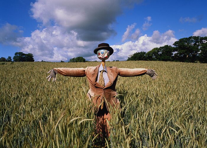 Scarecrow Greeting Card featuring the photograph Scarecrow In Jacket And Tie Standing In by Peter Cade
