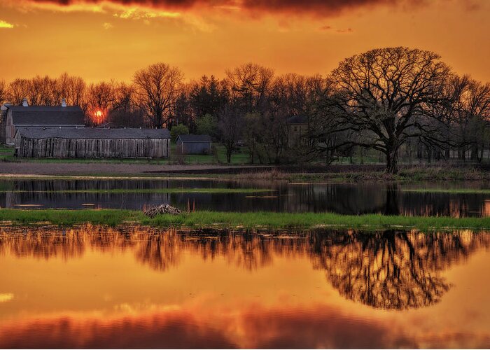 Pond Spring Sunset Goose Mother Goose Oak Tree Green Golden Barn Farm Wi Wisconsin Stoughton Madison Rural Scenic Horizontal Greeting Card featuring the photograph Scenic Pondquility - Spring sunset over a Wisconsin farm scene with pond and nesting goose by Peter Herman