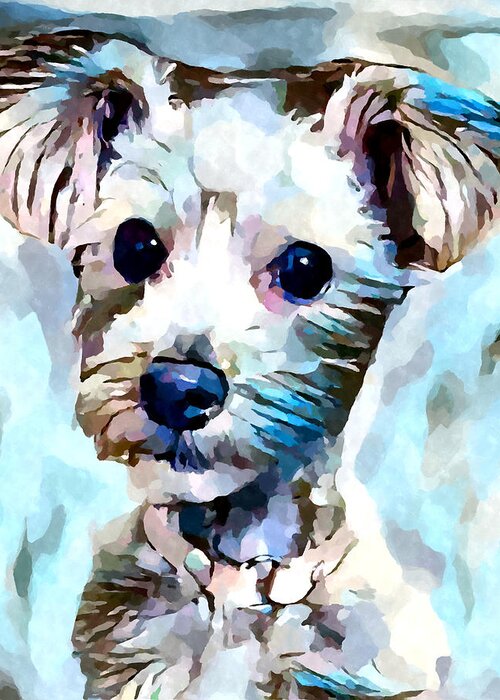 Dog Greeting Card featuring the painting Schnoodle 3 by Chris Butler