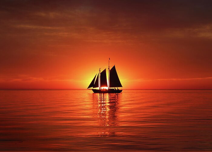 Edith M. Becker Greeting Card featuring the photograph Schooner Eclipses the Sunset by David T Wilkinson