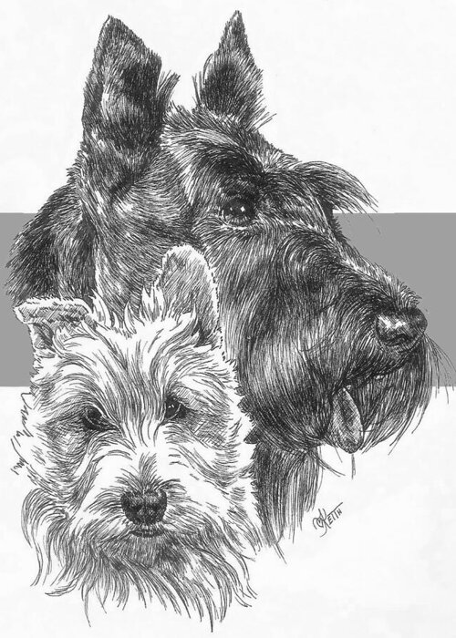 Terrier Group Greeting Card featuring the drawing Scottish Terrier and Pup by Barbara Keith