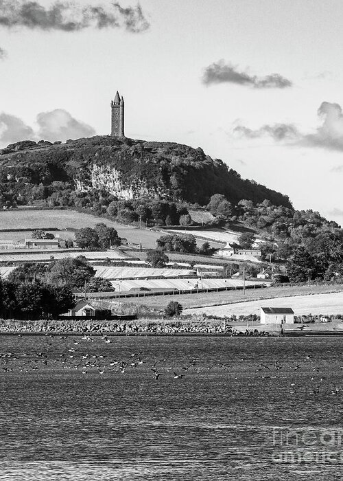 Castle Espie Greeting Card featuring the photograph Scrabo Tower by Jim Orr